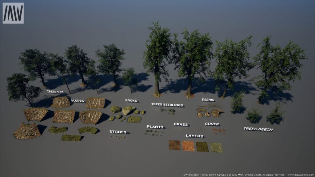 图片[8]1Li-Digital Art Education【UE资源】阔叶树林场景资源-MW Broadleaf Trees Forest Biome1Li-Digital Art Education1Li