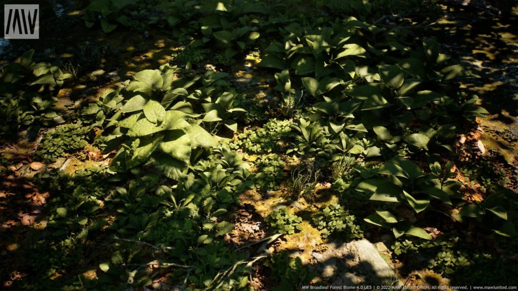 图片[1]1Li-Digital Art Education【UE资源】阔叶树林场景资源-MW Broadleaf Trees Forest Biome1Li-Digital Art Education1Li