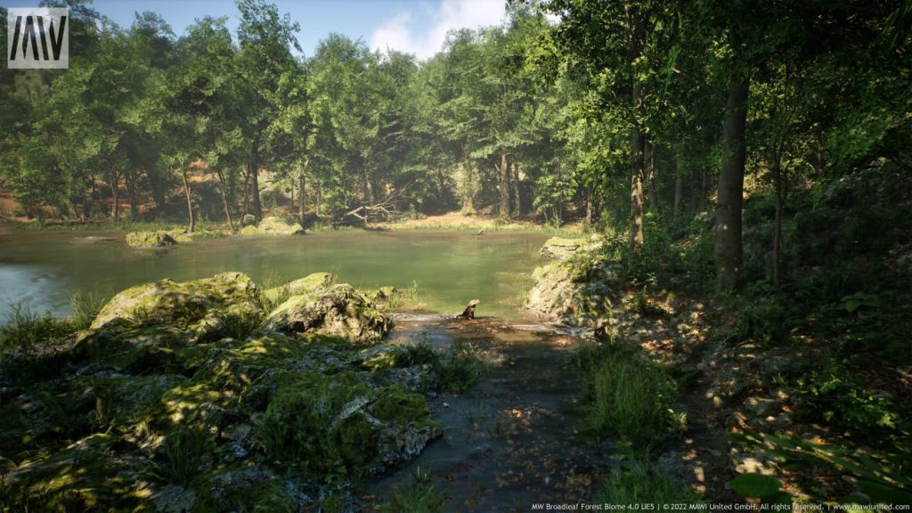 图片[10]1Li-Digital Art Education【UE资源】阔叶树林场景资源-MW Broadleaf Trees Forest Biome1Li-Digital Art Education1Li