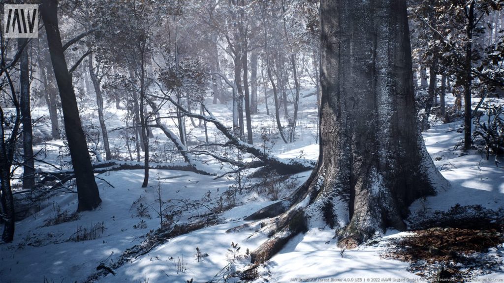 图片[12]1Li-Digital Art Education【UE资源】阔叶树林场景资源-MW Broadleaf Trees Forest Biome1Li-Digital Art Education1Li