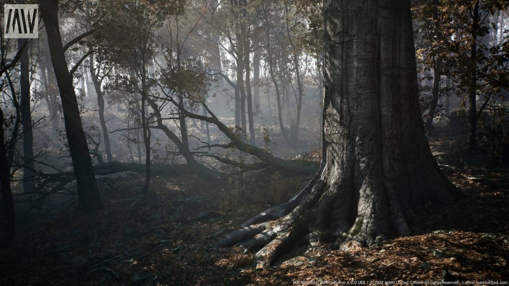 图片[11]1Li-Digital Art Education【UE资源】阔叶树林场景资源-MW Broadleaf Trees Forest Biome1Li-Digital Art Education1Li