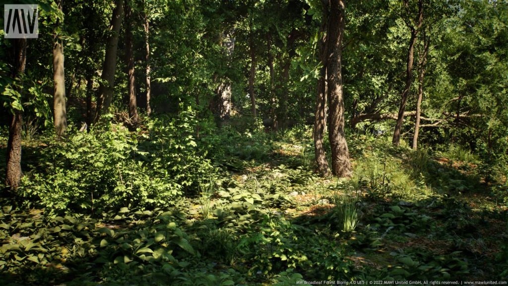 图片[6]1Li-Digital Art Education【UE资源】阔叶树林场景资源-MW Broadleaf Trees Forest Biome1Li-Digital Art Education1Li