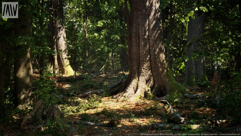 图片[3]1Li-Digital Art Education【UE资源】阔叶树林场景资源-MW Broadleaf Trees Forest Biome1Li-Digital Art Education1Li