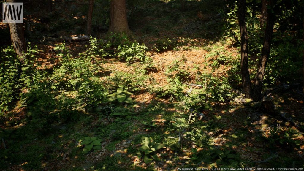 图片[2]1Li-Digital Art Education【UE资源】阔叶树林场景资源-MW Broadleaf Trees Forest Biome1Li-Digital Art Education1Li