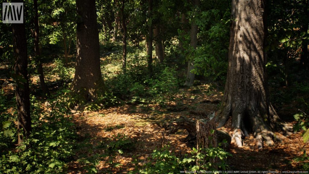 图片[9]1Li-Digital Art Education【UE资源】阔叶树林场景资源-MW Broadleaf Trees Forest Biome1Li-Digital Art Education1Li