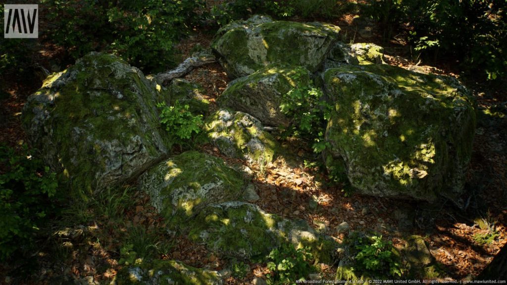 图片[7]1Li-Digital Art Education【UE资源】阔叶树林场景资源-MW Broadleaf Trees Forest Biome1Li-Digital Art Education1Li