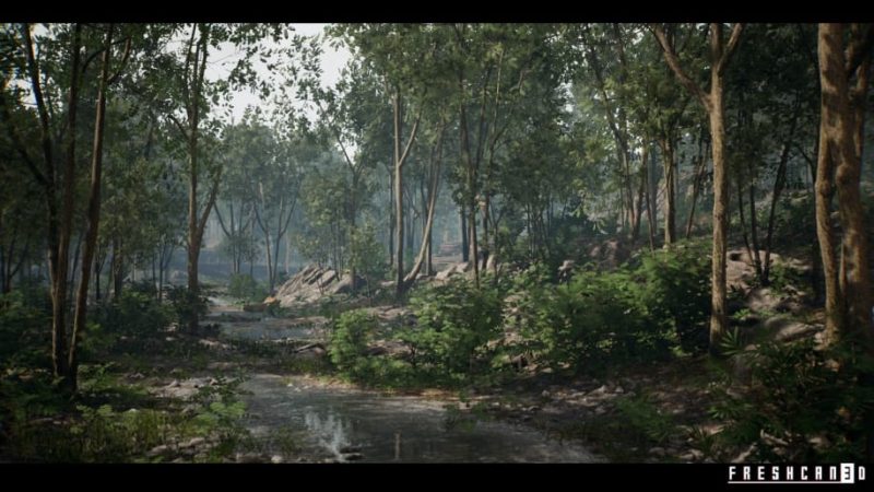 【UE资源】森林环境包-Forest Environment1Li-Digital Art Education1Li