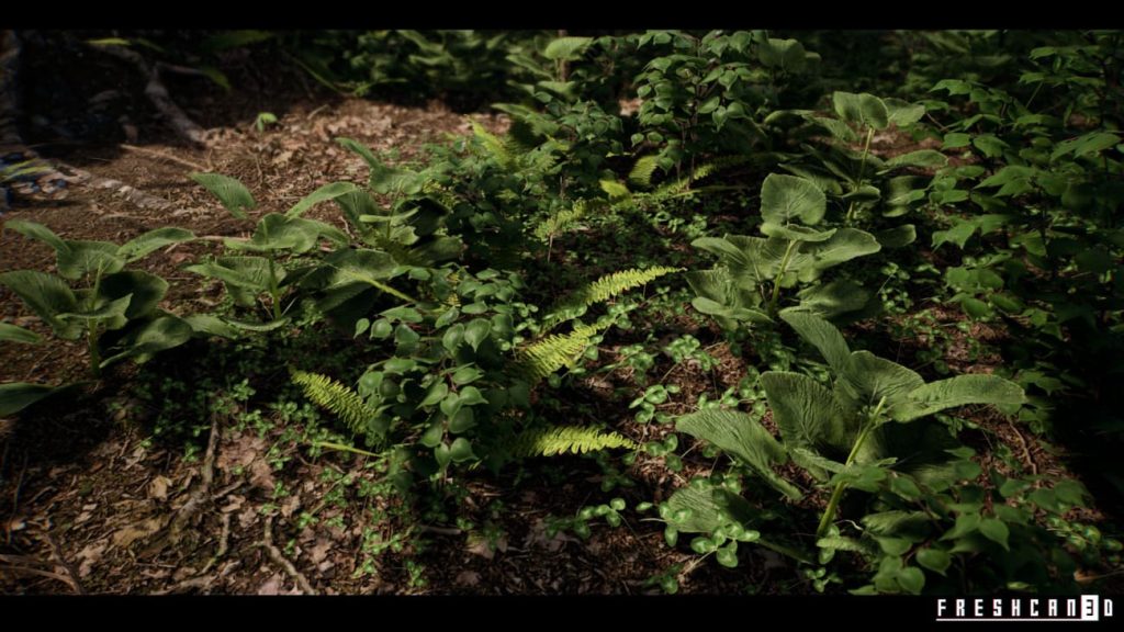 图片[3]1Li-Digital Art Education【UE资源】森林环境包-Forest Environment1Li-Digital Art Education1Li