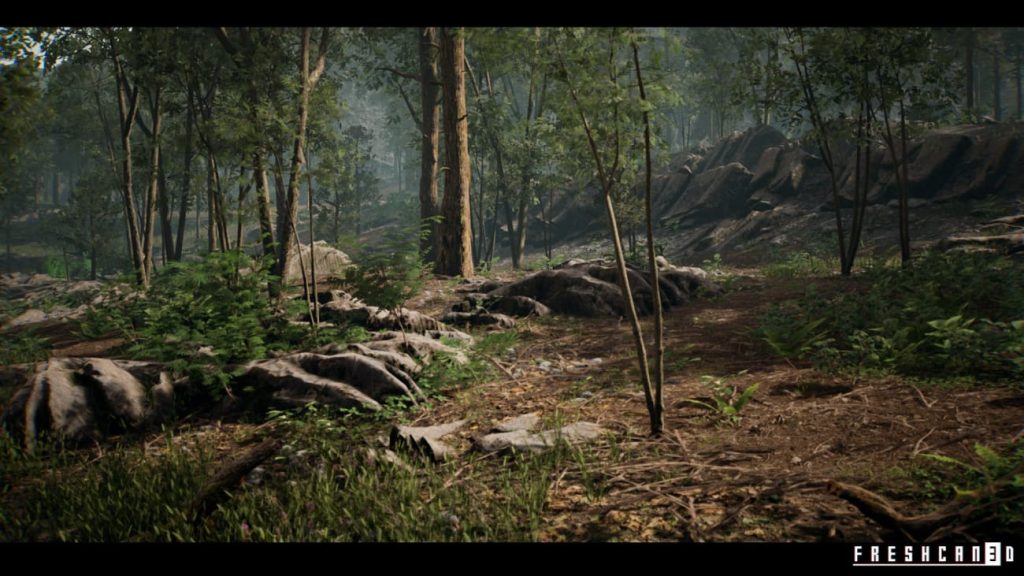 图片[5]1Li-Digital Art Education【UE资源】森林环境包-Forest Environment1Li-Digital Art Education1Li