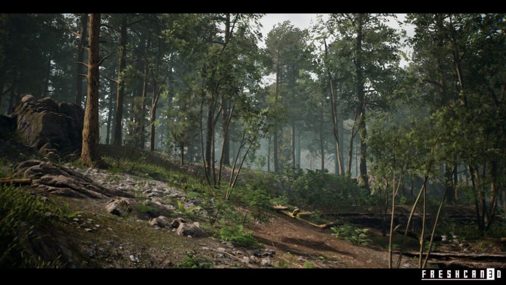 图片[10]1Li-Digital Art Education【UE资源】森林环境包-Forest Environment1Li-Digital Art Education1Li