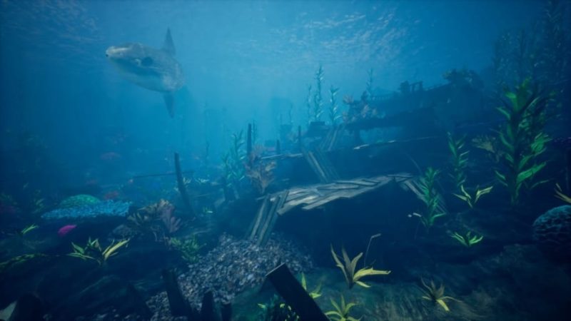 【UE资源】海洋珊瑚礁环境包-Ocean Environment Pack 2 - Coral Reef1Li-Digital Art Education1Li