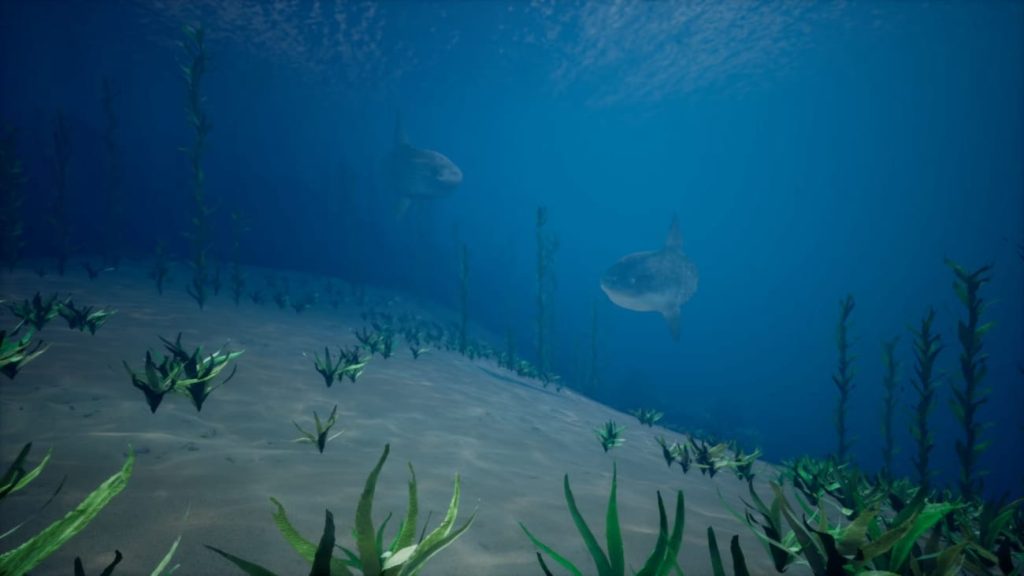 图片[4]1Li-Digital Art Education【UE资源】海洋珊瑚礁环境包-Ocean Environment Pack 2 - Coral Reef1Li-Digital Art Education1Li