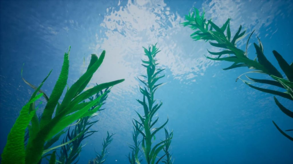 图片[9]1Li-Digital Art Education【UE资源】海洋珊瑚礁环境包-Ocean Environment Pack 2 - Coral Reef1Li-Digital Art Education1Li