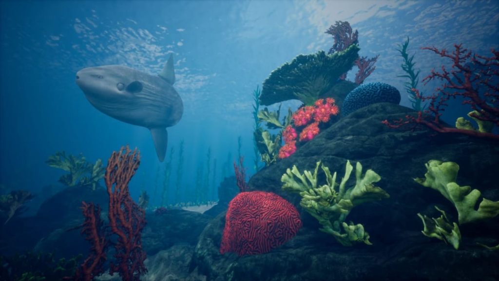 图片[6]1Li-Digital Art Education【UE资源】海洋珊瑚礁环境包-Ocean Environment Pack 2 - Coral Reef1Li-Digital Art Education1Li