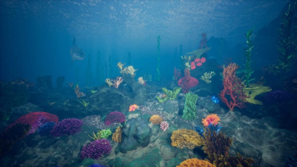 图片[8]1Li-Digital Art Education【UE资源】海洋珊瑚礁环境包-Ocean Environment Pack 2 - Coral Reef1Li-Digital Art Education1Li