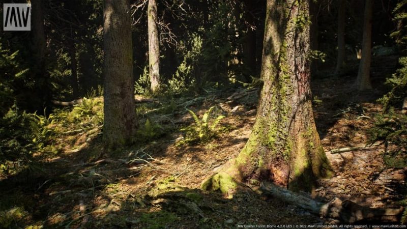 【UE资源】针叶树森林资源包-MW Conifer Trees Forest Biome1Li-Digital Art Education1Li