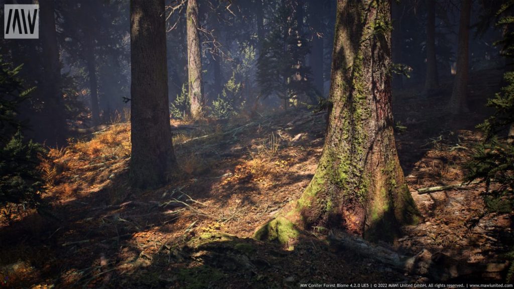图片[6]1Li-Digital Art Education【UE资源】针叶树森林资源包-MW Conifer Trees Forest Biome1Li-Digital Art Education1Li