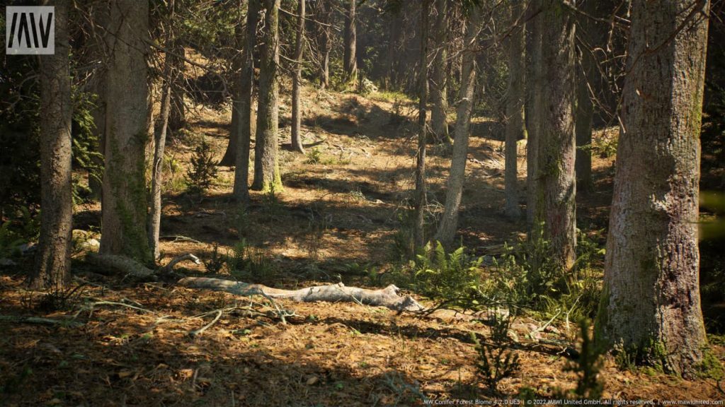 图片[5]1Li-Digital Art Education【UE资源】针叶树森林资源包-MW Conifer Trees Forest Biome1Li-Digital Art Education1Li