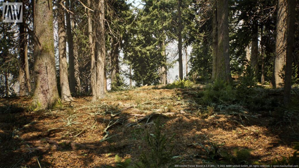 图片[2]1Li-Digital Art Education【UE资源】针叶树森林资源包-MW Conifer Trees Forest Biome1Li-Digital Art Education1Li