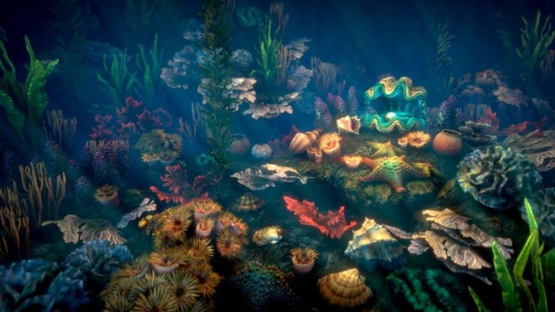 【UE资源】珊瑚包-Corals 21Li-Digital Art Education1Li