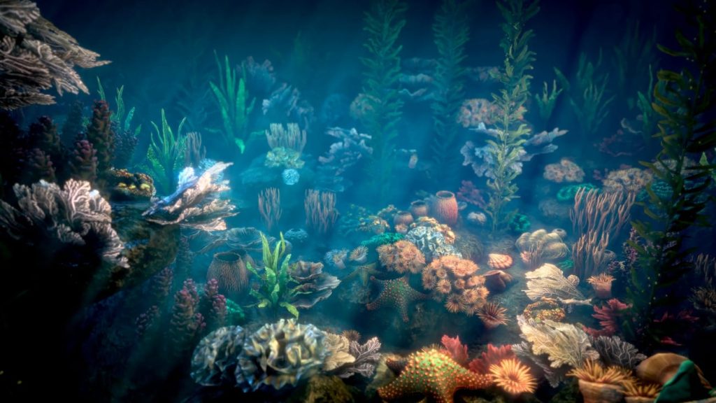 图片[1]1Li-Digital Art Education【UE资源】珊瑚包-Corals 21Li-Digital Art Education1Li