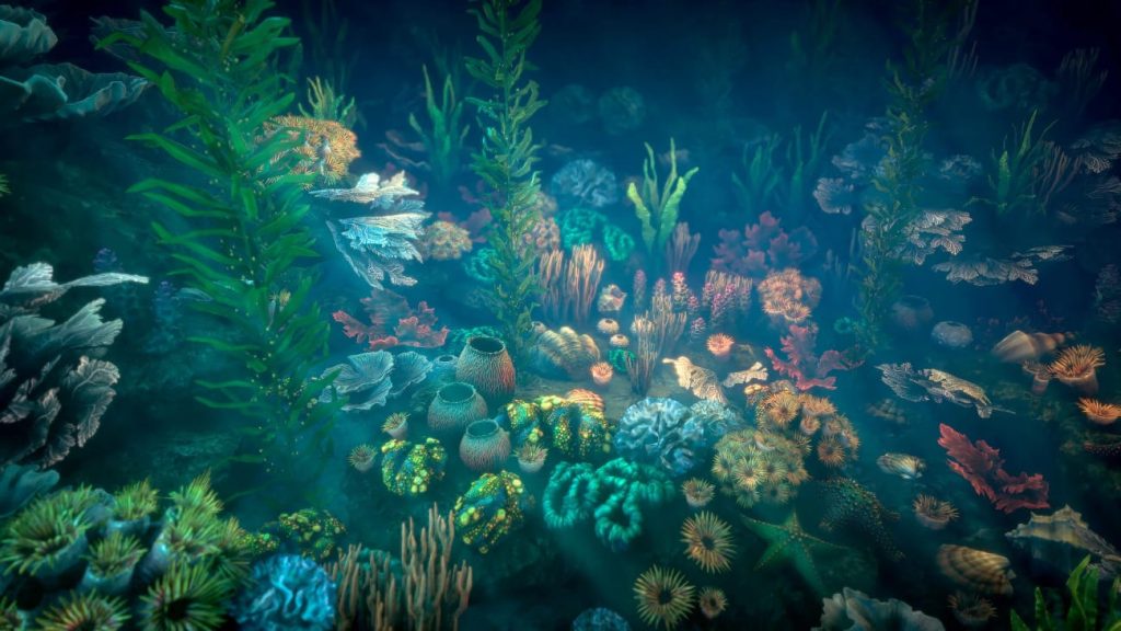 图片[4]1Li-Digital Art Education【UE资源】珊瑚包-Corals 21Li-Digital Art Education1Li