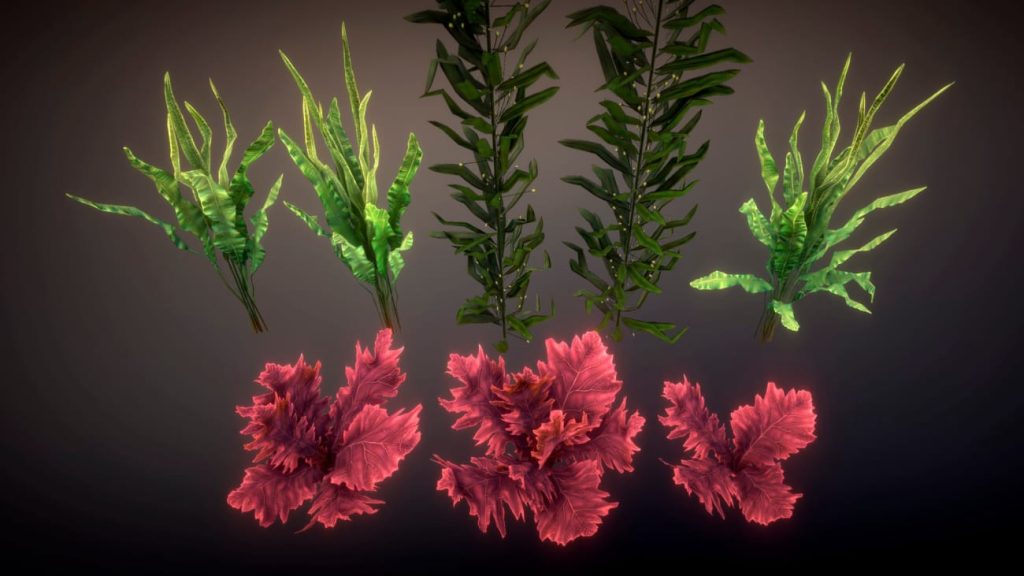 图片[6]1Li-Digital Art Education【UE资源】珊瑚包-Corals 21Li-Digital Art Education1Li