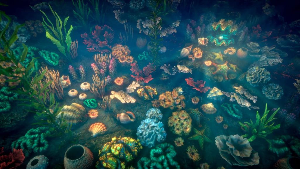 图片[7]1Li-Digital Art Education【UE资源】珊瑚包-Corals 21Li-Digital Art Education1Li
