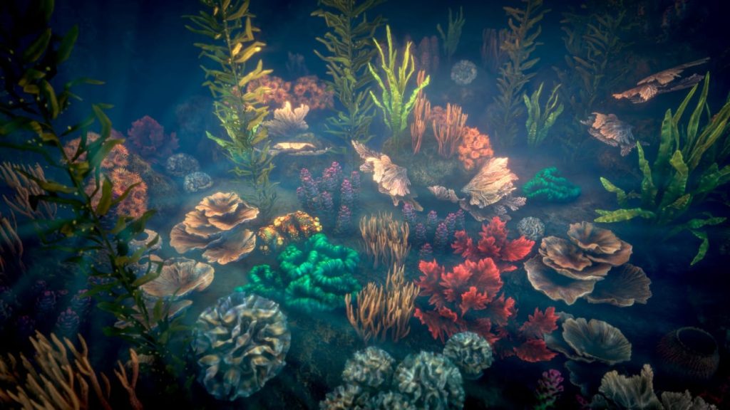 图片[2]1Li-Digital Art Education【UE资源】珊瑚包-Corals 21Li-Digital Art Education1Li