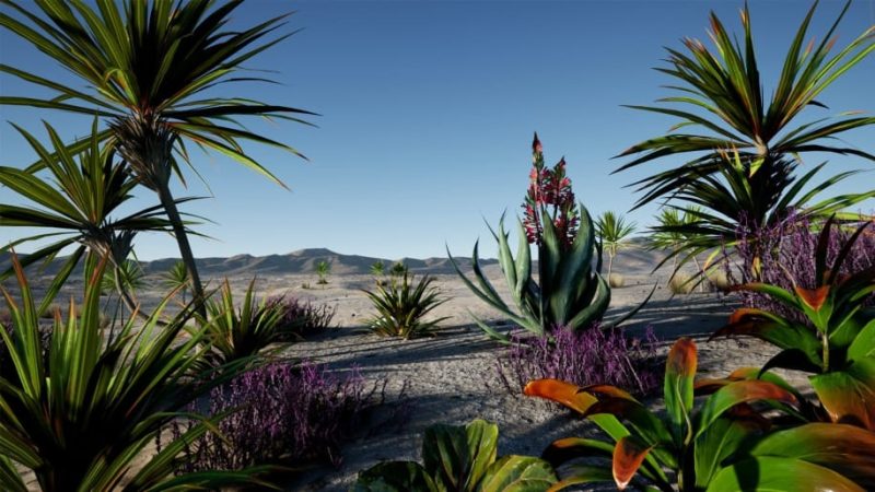 【UE资源】沙漠植物包-Alien Vegetation1Li-Digital Art Education1Li