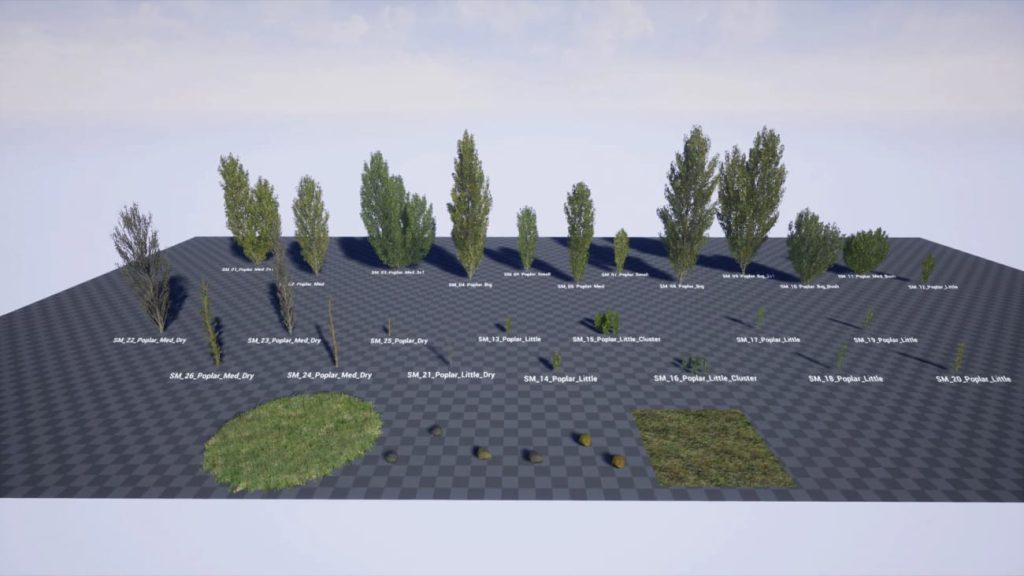 图片[1]1Li-Digital Art Education【UE资源】树林环境包-Poplars Pack (Populus nigra f. pyramidalis)1Li-Digital Art Education1Li