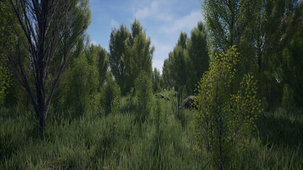 图片[4]1Li-Digital Art Education【UE资源】树林环境包-Poplars Pack (Populus nigra f. pyramidalis)1Li-Digital Art Education1Li
