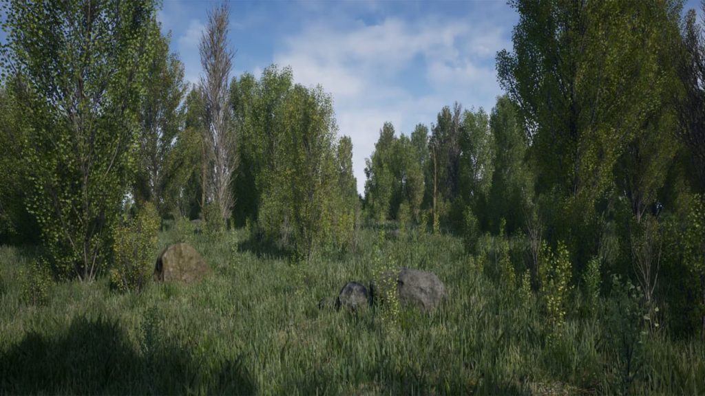 图片[5]1Li-Digital Art Education【UE资源】树林环境包-Poplars Pack (Populus nigra f. pyramidalis)1Li-Digital Art Education1Li