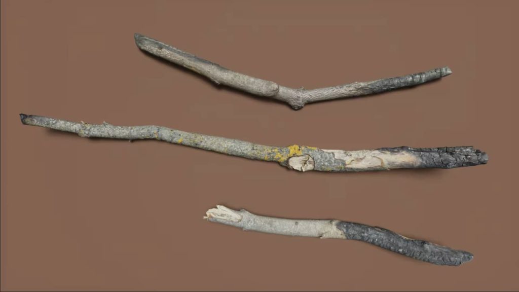 图片[5]1Li-Digital Art Education【UE资源】烧焦的木头合集包-Burned wood1Li-Digital Art Education1Li