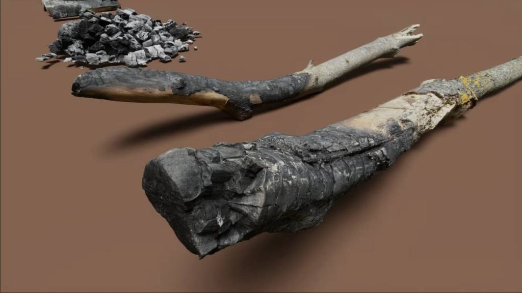 图片[8]1Li-Digital Art Education【UE资源】烧焦的木头合集包-Burned wood1Li-Digital Art Education1Li