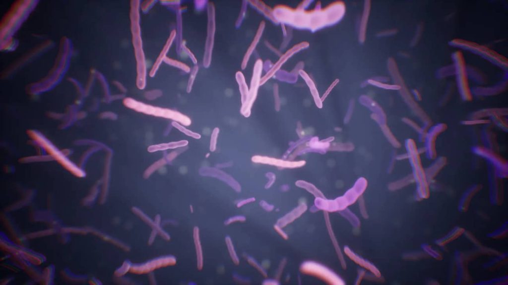图片[2]1Li-Digital Art Education【UE资源】Niagara粒子模拟微生物资源-Microscopic Organisms1Li-Digital Art Education1Li