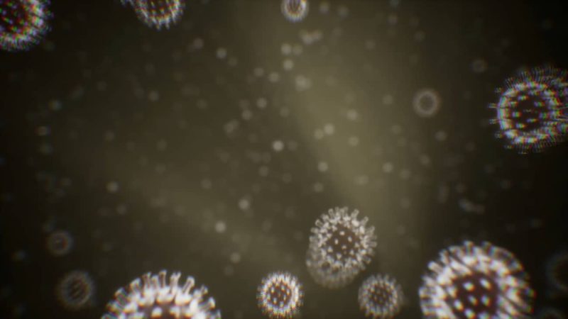 【UE资源】Niagara粒子模拟微生物资源-Microscopic Organisms1Li-Digital Art Education1Li