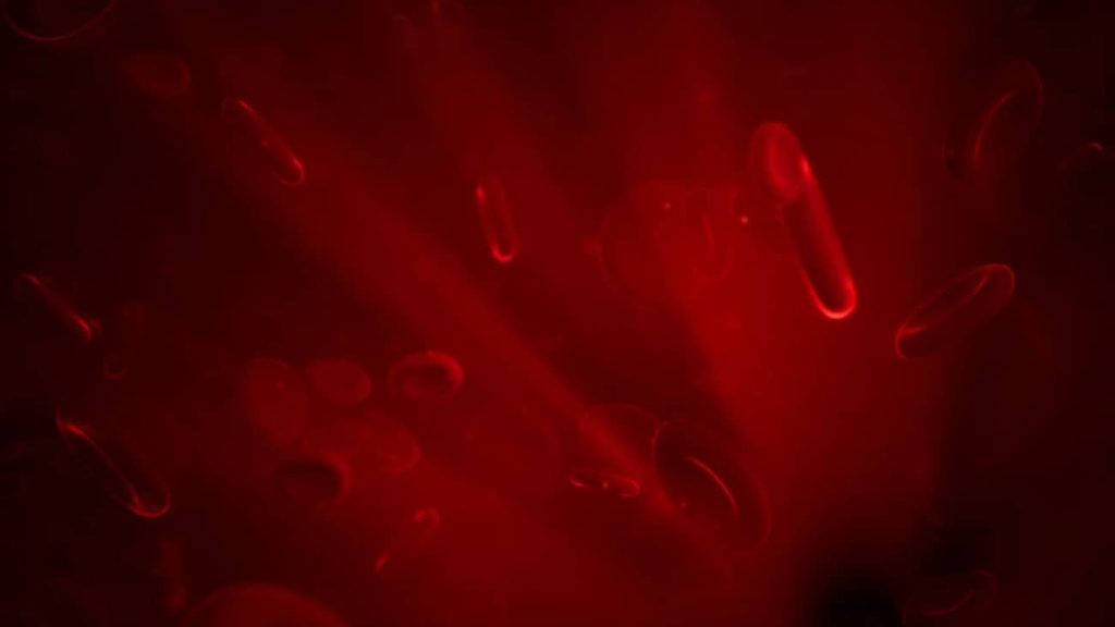 图片[3]1Li-Digital Art Education【UE资源】Niagara粒子模拟微生物资源-Microscopic Organisms1Li-Digital Art Education1Li