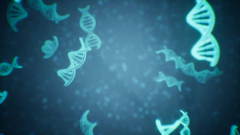 图片[5]1Li-Digital Art Education【UE资源】Niagara粒子模拟微生物资源-Microscopic Organisms1Li-Digital Art Education1Li