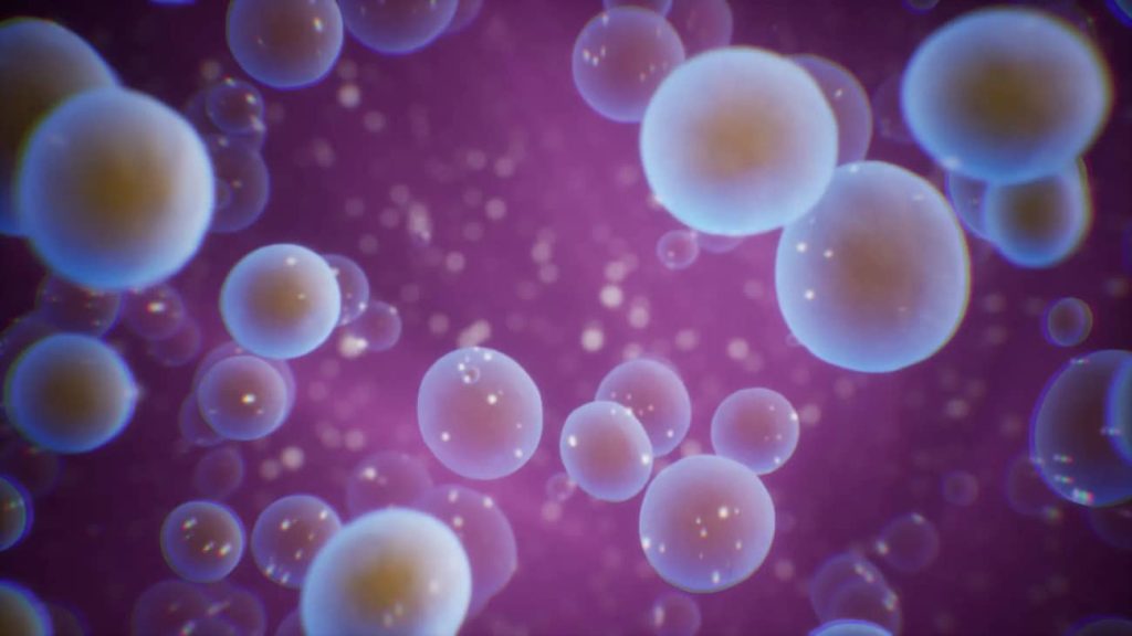 图片[7]1Li-Digital Art Education【UE资源】Niagara粒子模拟微生物资源-Microscopic Organisms1Li-Digital Art Education1Li