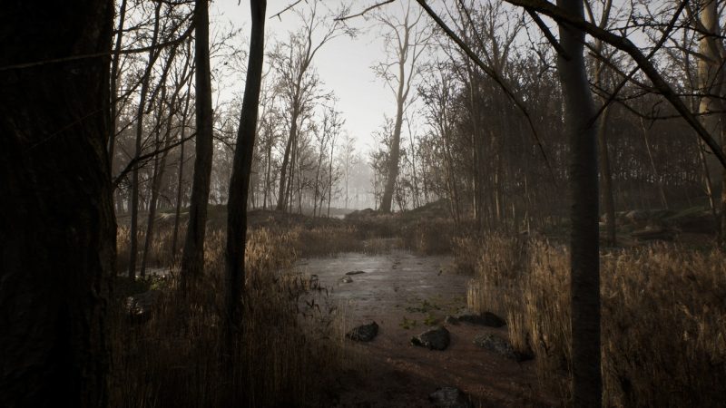 【资源】Unreal Engine – Procedural Forest程序森林1Li-Digital Art Education1Li