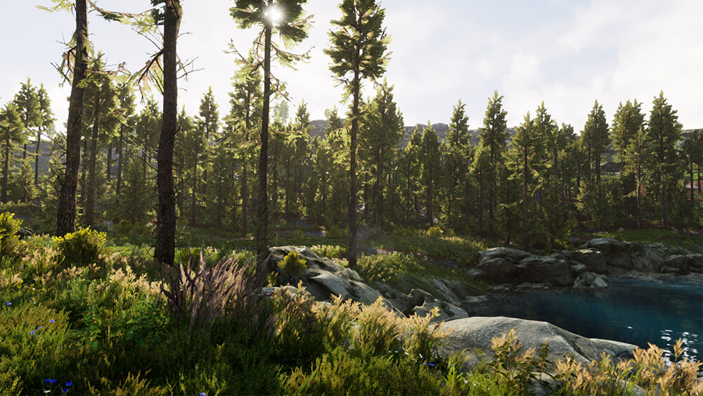 图片[1]1Li-Digital Art Education【资源】Unreal Engine-自动自然环境创建工具1Li-Digital Art Education1Li