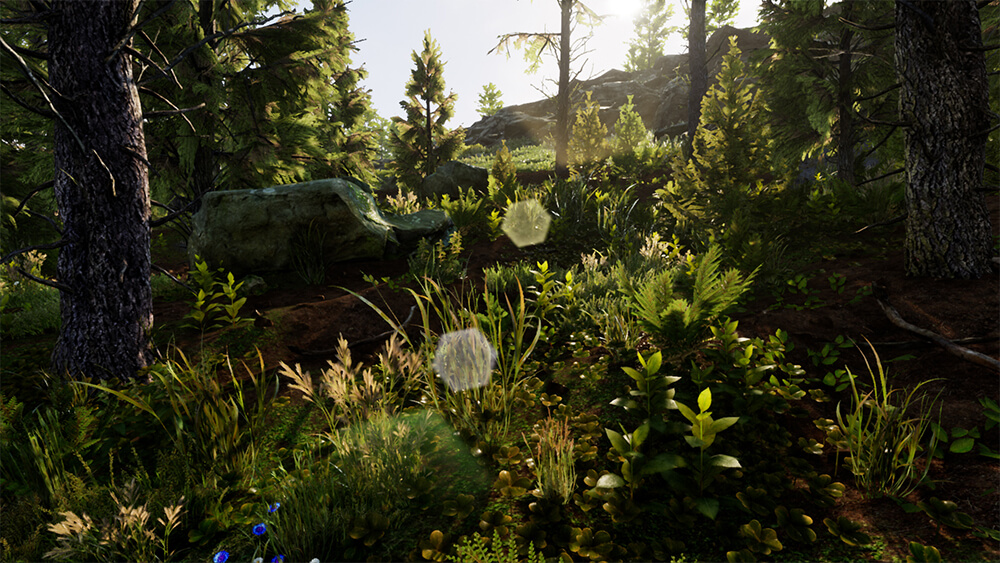 图片[4]1Li-Digital Art Education【资源】Unreal Engine-自动自然环境创建工具1Li-Digital Art Education1Li