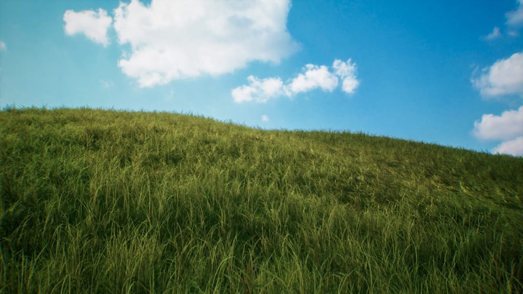 图片[3]1Li-Digital Art Education【UE资源】Brushify草原包-Brushify - Grasslands Pack1Li-Digital Art Education1Li