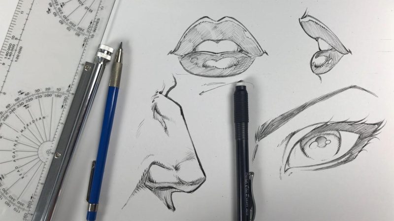 Skillshare - 绘画漫画艺术 - 理解线条、形状和形式1Li-Digital Art Education1Li