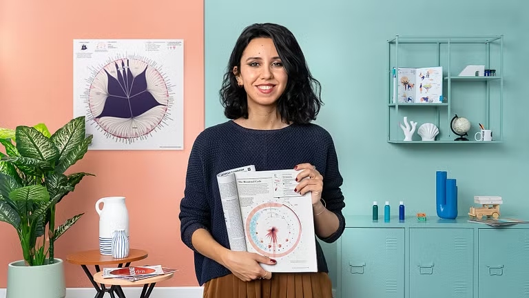 Domestika - 数据可视化和信息设计：创建可视化模型1Li-Digital Art Education1Li