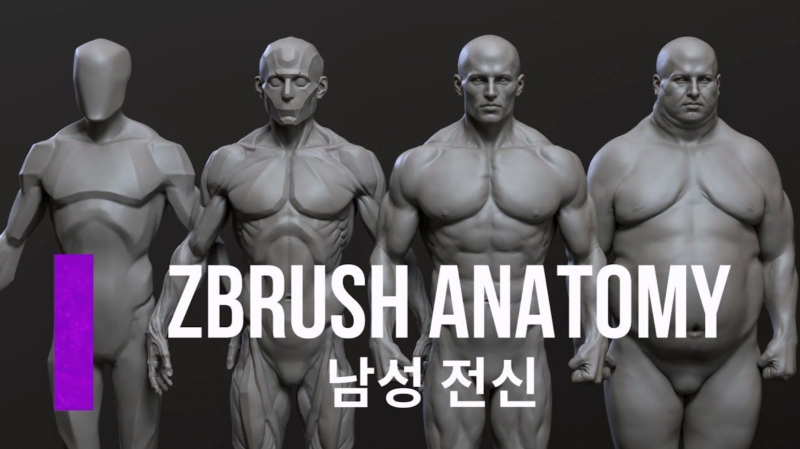 CGbump - Zbrush高级解剖学(男性)1Li-Digital Art Education1Li