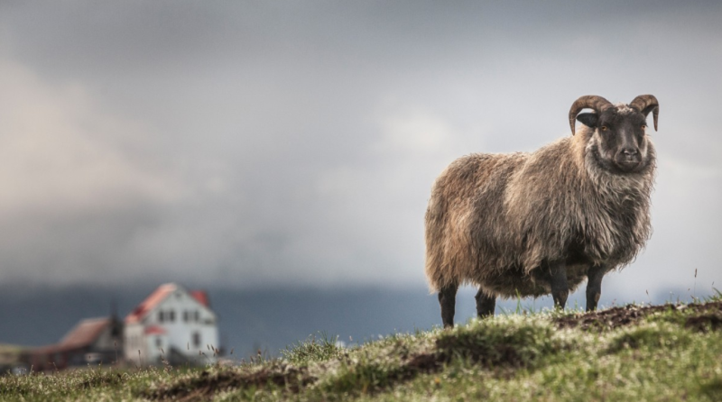 Linkedin – Photoshop 2022基本培训1Li-Digital Art Education1Li