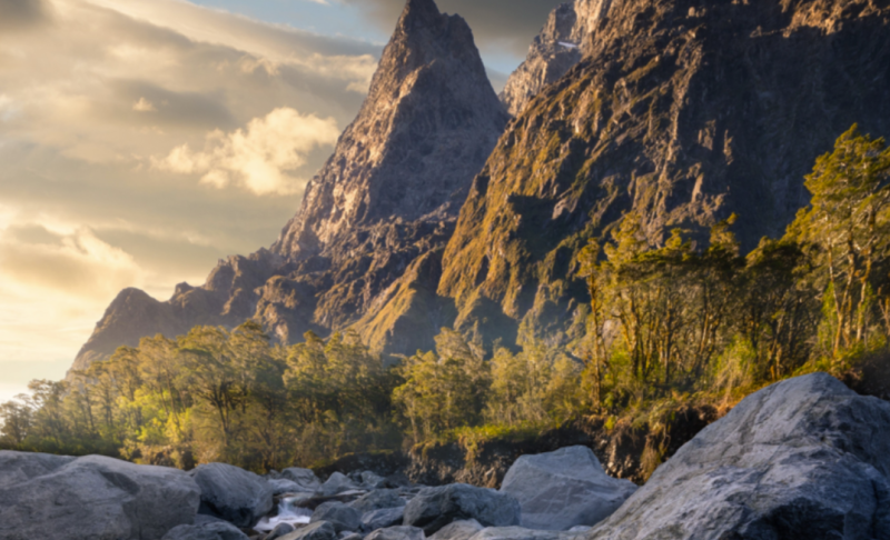 William Patino Photography - 风景摄影师的Photoshop1Li-Digital Art Education1Li