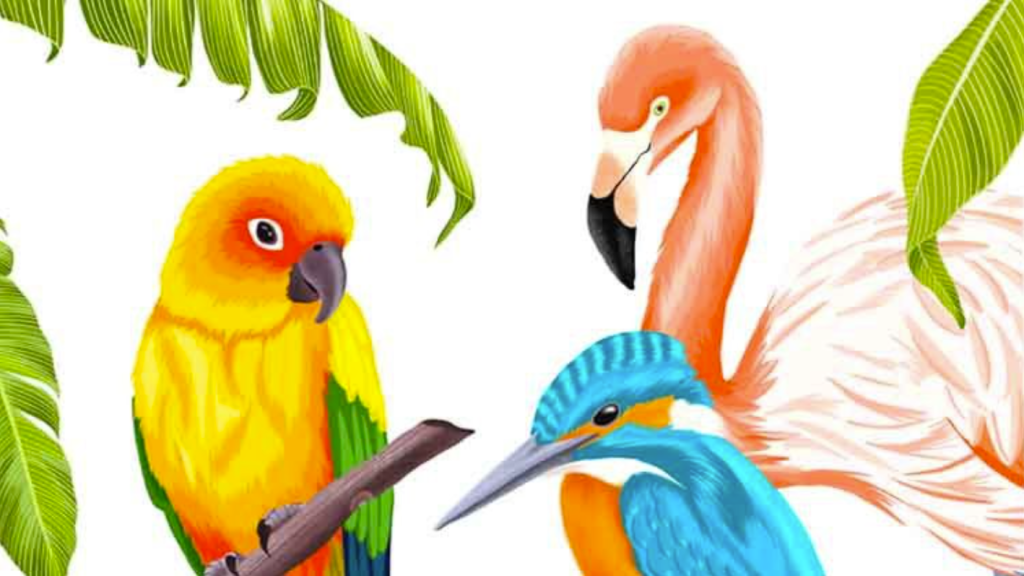图片[1]1Li-Digital Art EducationUdemy - Procreate鸟类绘画1Li-Digital Art Education1Li